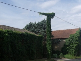 le vélo,lagestromia,les cygnes 030.JPG