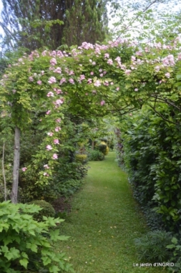 les roses au jardin 072.JPG