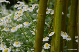 chez Fabien,le canal,jardin,hémérocalles,le souci,potager 045.JPG