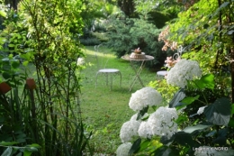 hémérocalles,les filles,les cygnes,la passerelle,moi,jardin 143.JPG