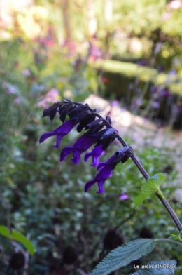 Cadouin,Lalinde chapelle,cascade,jardin,papillon 176.JPG