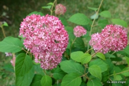 fête des plantes