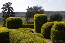 Marqueyssac,bassin,puces Beaumont 011.JPG