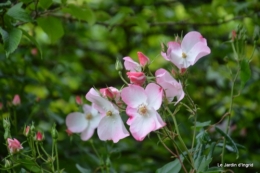 mai au jardin,les filles 034.JPG