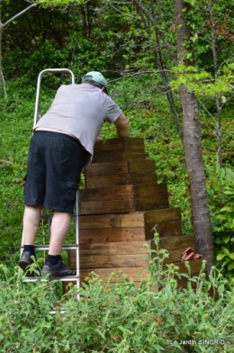 pyramide de fraisiers,toit végétalisé 003.JPG