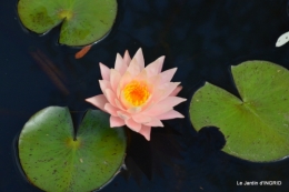 les jardins d'eau de Carsac 067.JPG