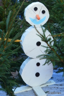 chevreuils,givre jardin et canal,marché de Noel Sarlat 146.JPG