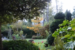 Jardin à l'automne 024.JPG