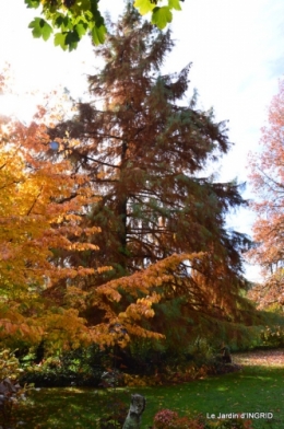 les arbres en automne,cabane 081.JPG