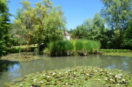 le jardin de Frescati,roses 042.JPG