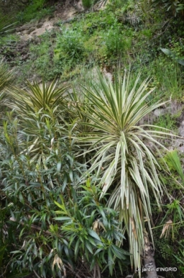 la Roque Gageac,Ines,jardin 033.JPG