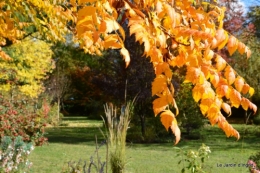 anniversaire Mamy,chateau d'eau,jardin automne 071.JPG