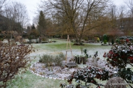 oiseaux première neige 029.JPG