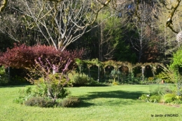 tour de jardin d'avril ,tonte 062.JPG