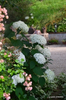 hémérocalles,les filles,les cygnes,la passerelle,moi,jardin 133.JPG