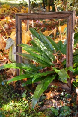 le cadre,,le kaki,les poules d'eau 006.JPG