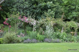 tour du jardin en juin 111.JPG