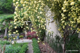 rosier de banks,jardin,cygnes,osier 058.JPG