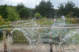 orage,puces,bouquet,Anniv.Ines,Brantome,Jardins d'eau 283.JPG