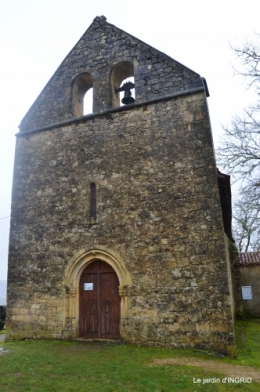 bulbes,perce neige,narcisse,pluie,hélébore,chapelle 135.jpg