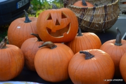 Issigeac,citrouilles ,rhus,automne,jardin 014.JPG