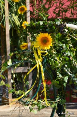 tournesols,podium,Lucas,jardin,Calès 050.JPG