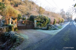 givre,maison,oiseaux 036.JPG