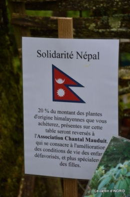 Fouleix,marguerites,hostas 060.JPG