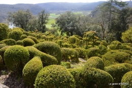 Marqueyssac,bassin,puces Beaumont 049.JPG