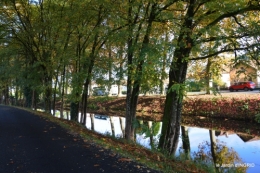 jardin automne,voisinage,canal 063.JPG