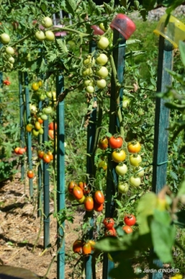 jardin,coeur des fleurs,potager, 124.jpg