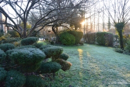 première gelée,compositions florales à garder,jardin 001.JPG