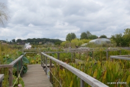 orage,puces,bouquet,Anniv.Ines,Brantome,Jardins d'eau 274.JPG