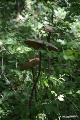 manthe religieuse,Lalinde marché,Land art au Colombier 067.JPG