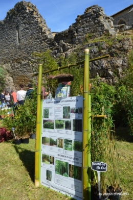 gastéropodes,les cygnes,marché,l'Abbaye Nouvelle,jerdin 078.JPG