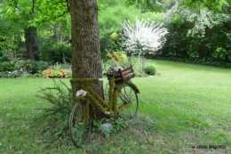 Tour du jardin mai avant et apres tonte 083.JPG