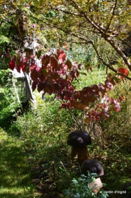 jardin octobre,chez Marylaur,Arnaud ,Ariane,la mer,sauges 180.JPG