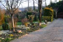 paillage,primevères,jonquilles,jardin 077.JPG