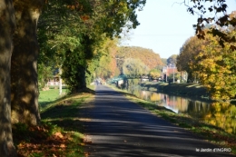 jardin automne,voisinage,canal 170.JPG