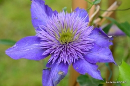 maison,jardin Bernadette,et jardin Claudine 116.JPG