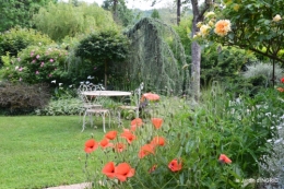 trémolat,oiseaux,jardin,cygnes,roses, 020.JPG