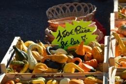 fête de la citrouille,jardinage,jardin 069.JPG