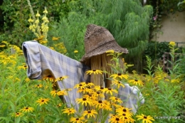 jardin,les filles,fleurs Peyrichou 006.JPG