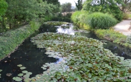 les jardins d'eau de Carsac 085.JPG