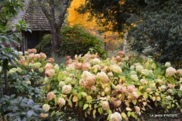 la Sedelle,étang de Riault,cyclamens 105.jpg