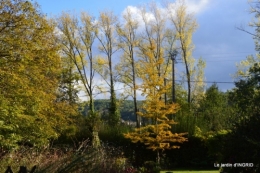 chez Caro,jardin automne 072.JPG