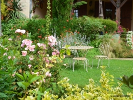 jardin pluie,Inès,Bébés cygnes,bouquet,canal 057.JPG