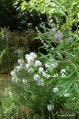 dahlias,jardin,puces st Avit Seigneur,Paniers Issigeac,Romane 283.JPG