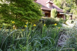 jardin soir et matin 036.JPG