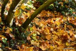 les arbres en automne,cabane 093.JPG